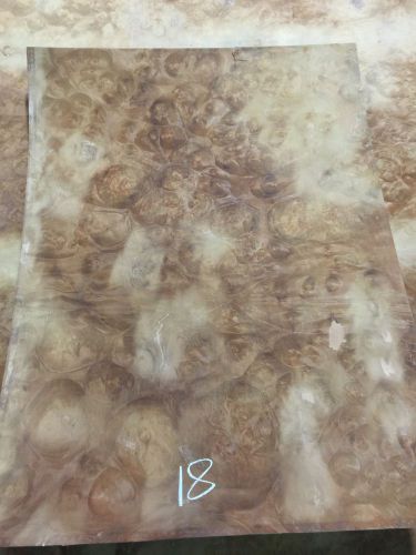 Wood Veneer Pellin Burl 21x30 1pc Total 2-Ply Wood Backed &#034;EXOTIC&#034;#344 RI.18