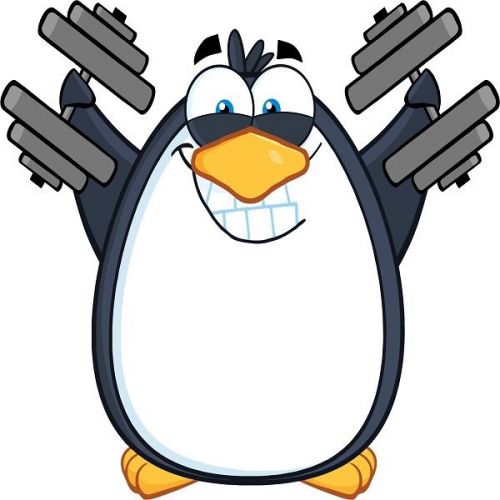 30 Custom Penguin Workout Personalized Address Labels