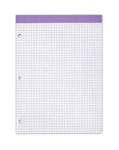 Ampad 20-289, Evidence Dual Pads, Letter Size, Purple  Ruling 4 sq. / In. 100