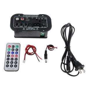 Automobile Hi-Fi Bass Power Subwoofer Amp Board 3028 Card Power 12V/24V/220V