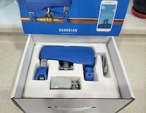 Guardian Leak Prevention System With 1 Leak Detector