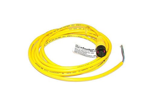 NEW IFM EJECTOR MOLDED CORDSET CABLE MODEL W80200  (3 AVAILABLE)