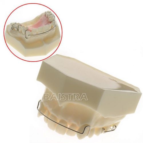 BIG SALE 1 PC Dental Orthodontics Treatment Retainer Study Teeth Model #3007