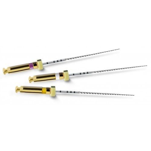 DENTSPLAY MAILLEFER PROTAPER PATHFILE NEW 6 PCS 25MM ROOT CANAL DRILL ENDODONZIA