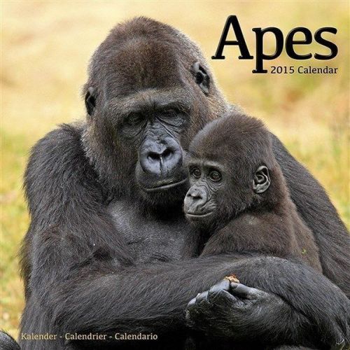 New 2015 apes wall calendar by avonside- free priority shipping! for sale