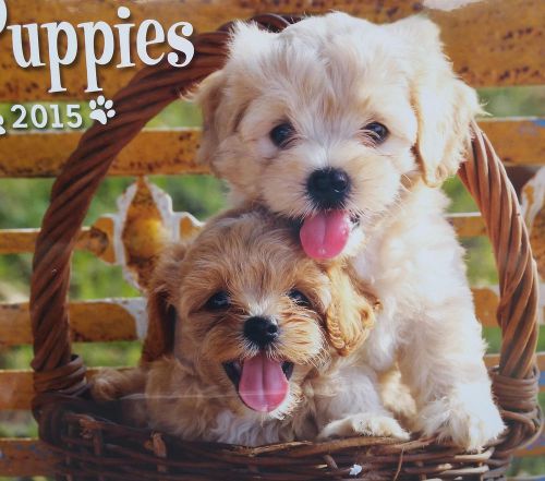 2015 PUPPIES Wall Calendar 12x12 NEW SEALED Dogs Cute Animals