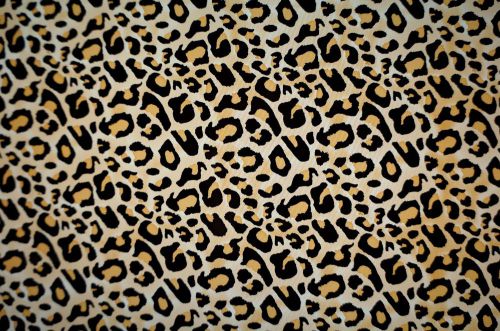 Small leopard print hydrographic film for sale