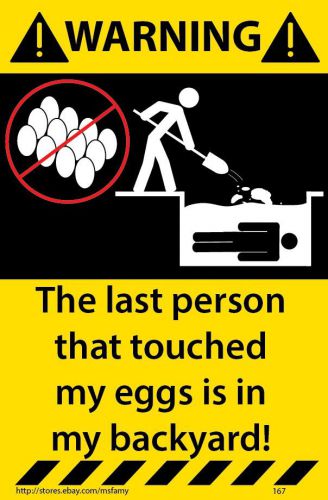 Chicken Egg Warning Sticker Funny Decal Poultry Livestock 167