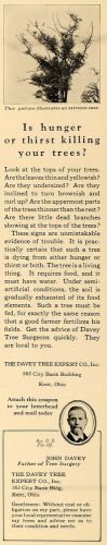 1926 Ad John Davey Tree Expert Company Surgery Kent OH - ORIGINAL GHB1
