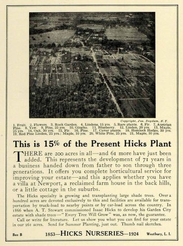 1924 ad hicks nurseries ariel view acreage horticulture - original thb1 for sale
