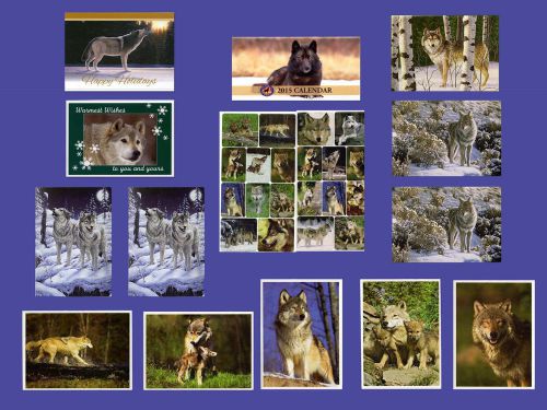 2015 Wolf Pocket Planner Calendar, 12 Wolf Greeting Cards, 20 Wolf Stickers