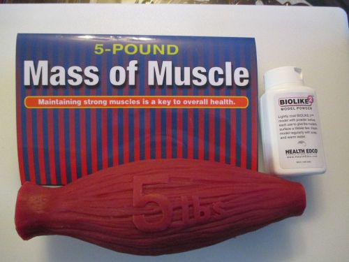 Health Edco 5 lb. Mass of Muscle