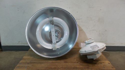 Lumapro 250 w 120-277 v low bay induction fixture for sale