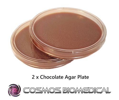 Chocolate Blood Agar Plates x 2 - Ready made Agar Plates in Petri Dishes