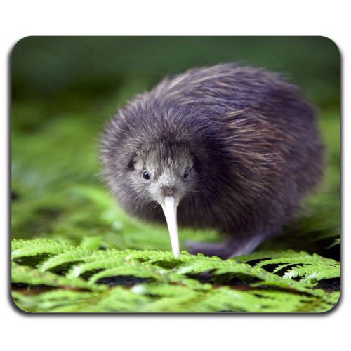 New! Cute Kiwi Bird New Zealand Animal Nature Cool Computer Mouse Pad Washable