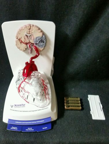 Xarelto Anatomical Model of Human Heart &amp; Brain Pathology