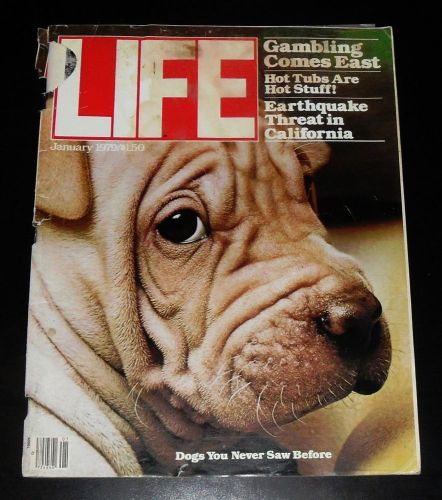 VTG January 1979 LIFE MAGAZINE Dogs You Never Saw Before Shar Pei Cover Complete