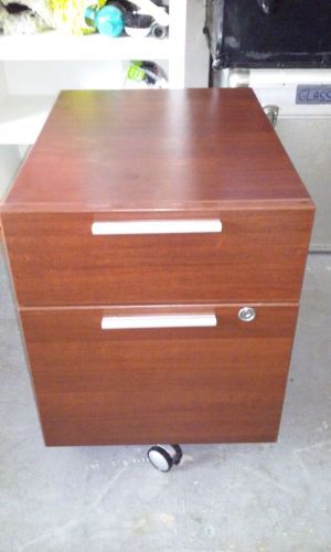 (7) Two drawer rolling file cabinet