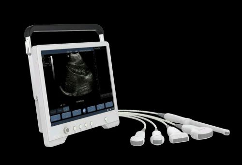 Veterinary Ultrasound System