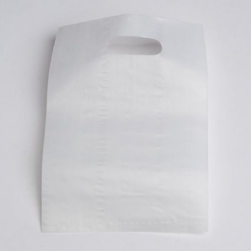 1000 bags 9&#034;x12&#034; small flat frost plastic retail merchandise shopping bag for sale