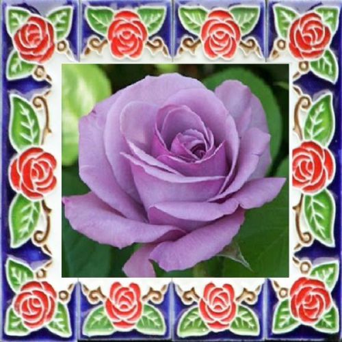 30 Custom Lavender Rose Tile Art Personalized Address Labels