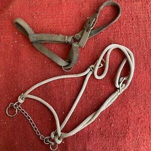 Lot Of TWO Cow Halters Cattle Halters Show Cattle