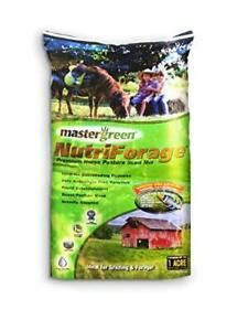 DLF 440AS0071UCT179 Horse Pasture Mix Forage 25 Green