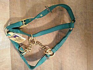 Hamilton 100% 1&#034; Nylon Halter with Brass Hardware Snap at Throat Yearling Green