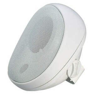 SPECO TECHNOLOGIES SP4AWETW Speaker,White,9-1/2 In.