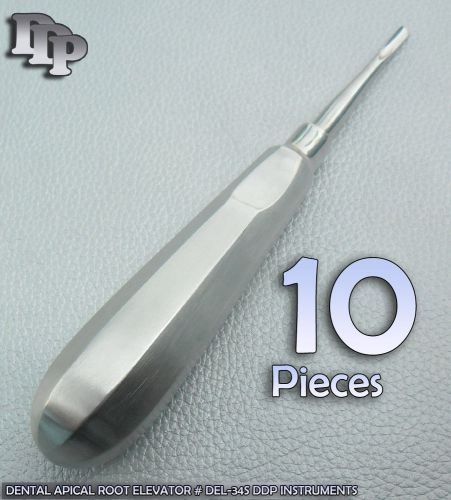 10 Dental APICAL ROOT Elevators # 34S Surgical Veterinary Instruments