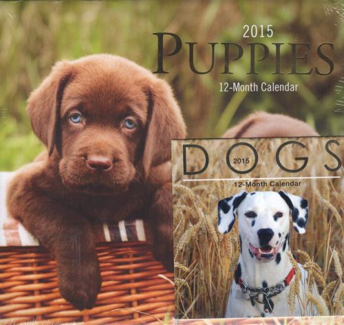 2015 PUPPIES &amp; DOGS Wall Calendars Lot - Full 12x11 &amp; Mini Desk Calendar NEW