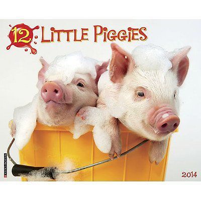 12 Little Piggies 2014 Wall Calendar