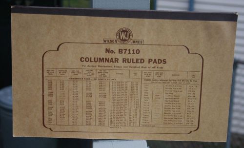 Vintage Wilson Jones Peerless Buff 7110 Ruled Accounting Pad 10 Columns