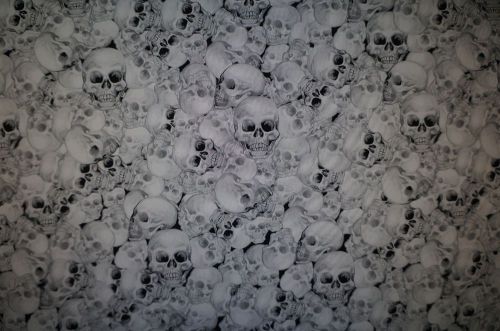 Ghost Skulls Hydrographic Film