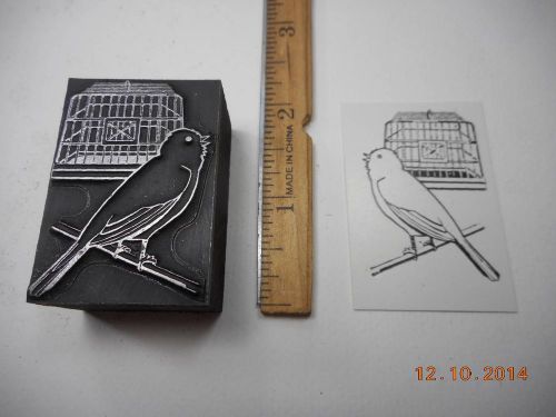 Letterpress Printing Printers Block, Canary Bird outside of Cage