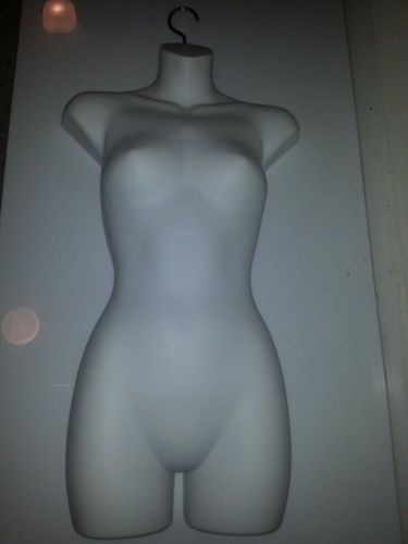 women&#039;s mannequin torsos