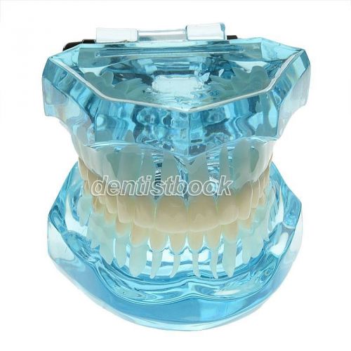 New 1 Pc Dental Dentist Teeth Tooth Transpartant  Blue Standard Model #7001
