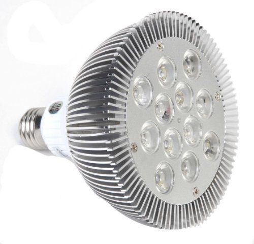 Avalon PAR38 15 Watt (60 Watt replacement) 1000 Lumen LED Light Bulb  Warm White