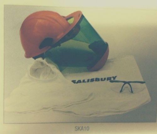 Salisbury ska10 arc flash helmet/afhood kit for sale