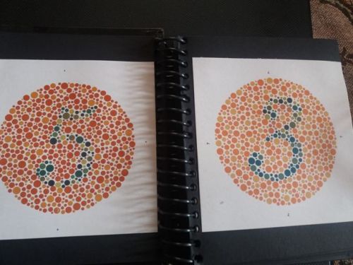 Latest Edition 38 PLATE ISHIHARA TESTS BOOK FOR COLOR BLINDNESS TESTING EYE IND
