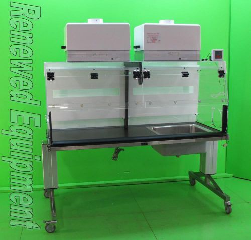 Flow sciences fscq03539 vented hood with sink, lift table, alarm &amp; filtration for sale