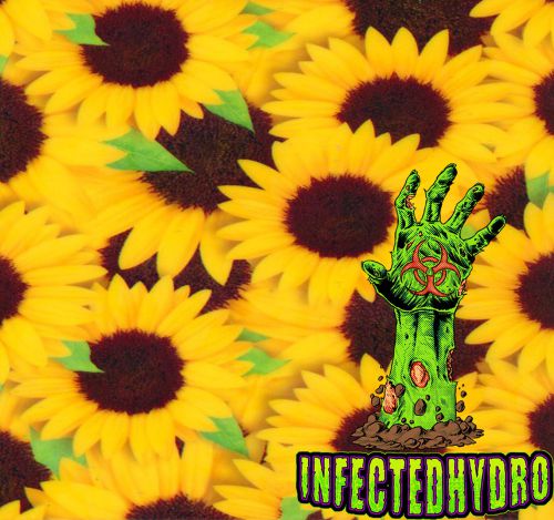 Hydrographic Film Water Transfer Hydrodipping Hydrodip Hydro A40 Sunflowers