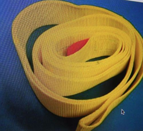 Liftall en1803dx10 polyester web sling 3&#034; x 10&#039; 1 ply for sale