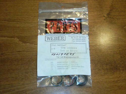 Weber Automatic Screw Driver System WN 400045 SEAL BEARING SET