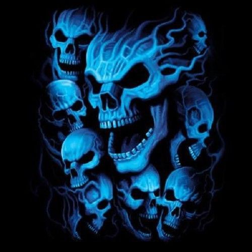 Blue Skulls HEAT PRESS TRANSFER for T Shirt Sweatshirt Quilt Fabric 292oo