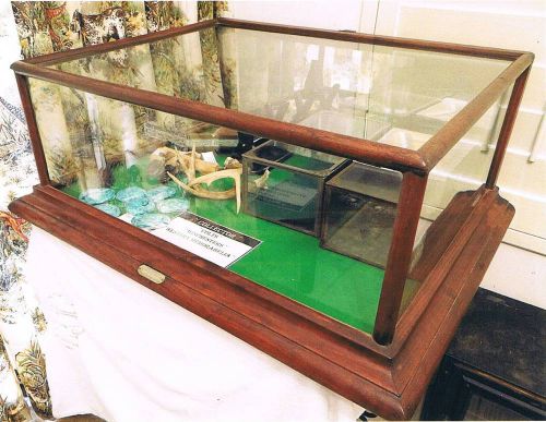 Antique countertop display case