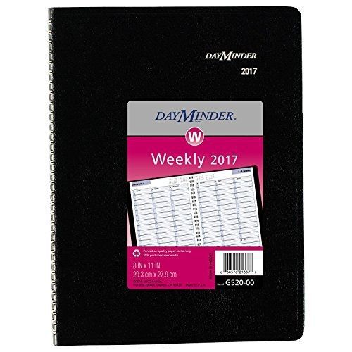 DayMinder Weekly Planner / Appointment Book 2017, Wirebound, 8 x 11&#034;, Black