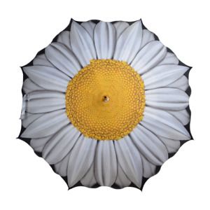 Esschert Design Printed Photographic Daisy White Yellow Flower Umbrella Present