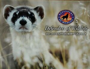 Animal Lovers 2022 Calendar Defenders Of Wildlife 2021 2022 - 18 Months