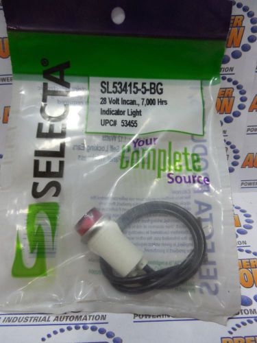 Selecta, sl53415-5-bg, red indicator light incandescent 1/2in od raised for sale